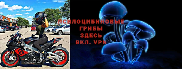 mdpv Богданович