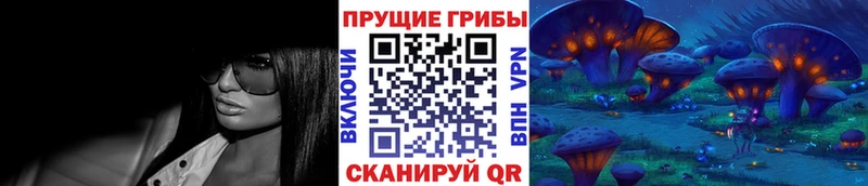 мега tor Улан-Удэ Псилоцибиновые грибы Psilocybine cubensis